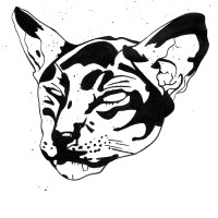Grauzone Festival logo - Similar company to A.S. Mercouris And Co
