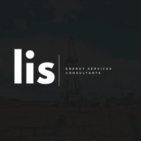 LIS Consulting logo - Similar company to Lis-Group