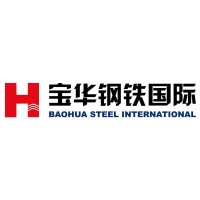 BAOHUA STEEL INTERNATIONAL PTE LTD logo - Similar company to Aibrain.Ro