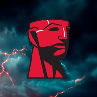 Kingston LATAM logo - Similar company to Newcei