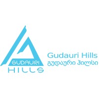 Gudauri Hills logo - Similar company to Gudauri Inn