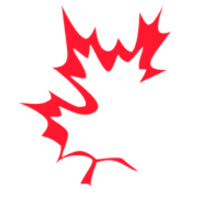 Maple Consultants | Tax And Financial Advisers logo - Similar company to Datalyst Ae