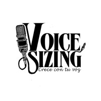Voice Sizing LLC logo - Similar company to Game Design Study Group