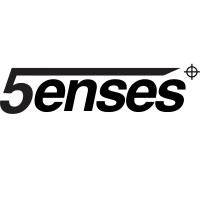 Fyve Senses logo - Similar company to Mirus Digital
