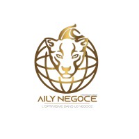 AILY NEGOCE INTERNATIONAL GROUP©️ logo - Similar company to W3Factory