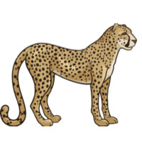 Intuition Capital logo - Similar company to Second Sight Ventures
