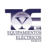 Grupo TEI México logo - Similar company to Infrapower Engineering