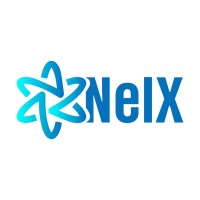 NelX logo - Similar company to Nelex