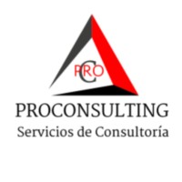 Proconsulting logo - Similar company to Proconsulting Group