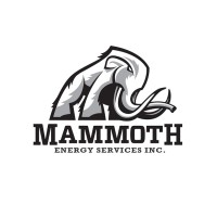 Mammoth Energy Services logo - Similar company to Palladium Solutions Group, Llc