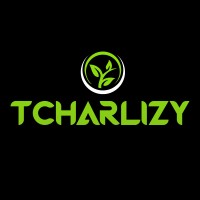 Tcharlizy Enterprise Lda logo - Similar company to Niteki
