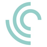 Blu Insight logo - Similar company to Midwest Business Technology