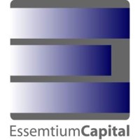 Essemtium Capital Limited logo - Similar company to Payvionix