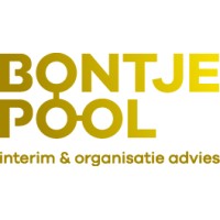 Bontje Pool Interim & Organisatie Advies logo - Similar company to Systemic Flow Academy