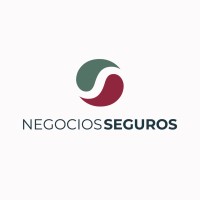 Negocios Seguros logo - Similar company to Salmón Corp.