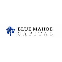 Blue Mahoe Capital logo - Similar company to Fundblackfounders