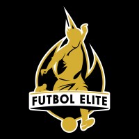 Futbol Elite logo - Similar company to Addsecure - Transport Solutions Poland