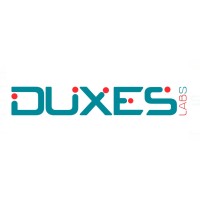 DUXES LABS PVT LTD logo - Similar company to Caredata Solutions Corp