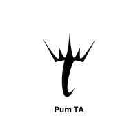 Pum TA logo - Similar company to Electronics Illuminated