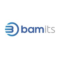 BAMITS logo - Similar company to Managed Bits