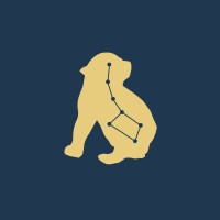 Luminar logo - Similar company to Naraya Consulting