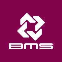 Blow Molding System, SL logo - Similar company to Kopptec