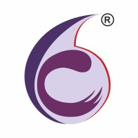 Caresoft Systems Private Limited logo - Similar company to Caresoft Global