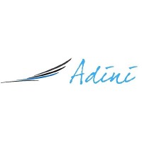 Adini Incorporation logo - Similar company to Ednex India