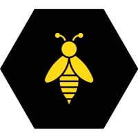 Beeline B2B Ltd logo - Similar company to Leonardo Da Vinci Ltd