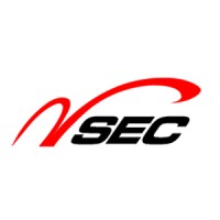 Natural Sound Electronics (Shenzhen ) Co.,Ltd