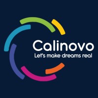 Calinovo Tech logo - Similar company to Vedeeka Soft Tech