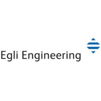 Egli Engineering AG logo - Similar company to Vaki