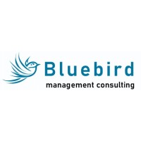Bluebird Management Consulting, LLC