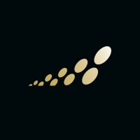 DFS - The Wealth Strategists logo - Similar company to D5Rpt