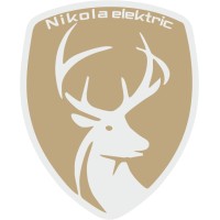Nikolaelektric Otomobil India Pvt Ltd logo - Similar company to Blitzs Electric P Ltd