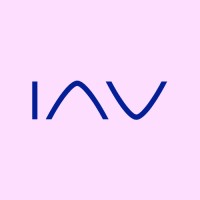IAV Vehicle Safety logo - Similar company to Iav Japan