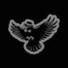 Little Crows Studio logo - Similar company to Cmr Modeling