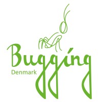 Bugging Denmark logo - Similar company to Jan Machenhauer