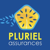 Pluriel Assurances logo - Similar company to Mmc Batiment