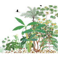 Jungle Foods logo - Similar company to Jungle Foods Gmbh