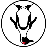 Deep South Distillery logo - Similar company to Qualito Craft Distillery