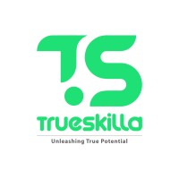 TrueSkilla logo - Similar company to Kd Circuits Llc