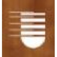 Facility Construction Services - FCS Dallas logo - Similar company to Gse Inc