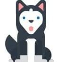 Dogsandinfo logo - Similar company to Bholashola