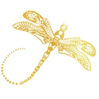 Soultuitive® Leadership logo - Similar company to Shiny Solutions