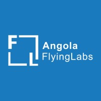 Angola Flying Labs logo - Similar company to Dronesig Angola
