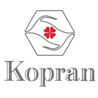 Kopran Limited logo - Similar company to Kopran Ltd