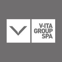 V-ITA GROUP SpA logo - Similar company to Toad Creative Studios