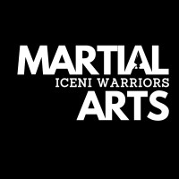 Iceni Warriors Martial Arts logo - Similar company to Trivandi Chanzo Limited