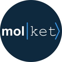 MolKet logo - Similar company to Zebraket (Acquired By Aligned It, Llc.)